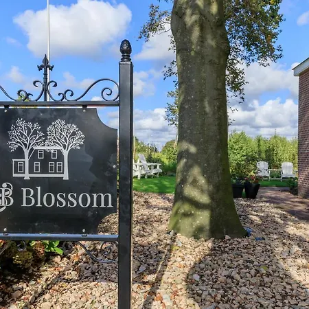 B&B Blossom-2
