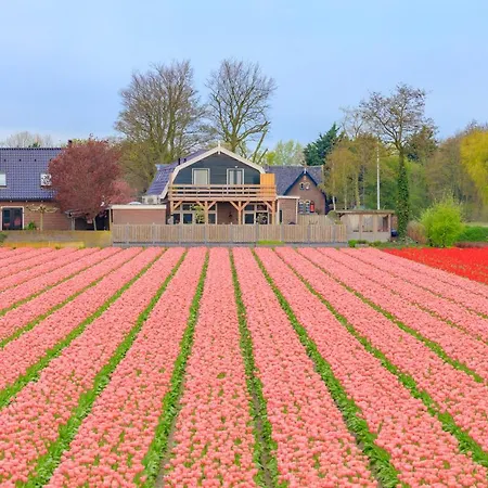 B&B Blossom-3